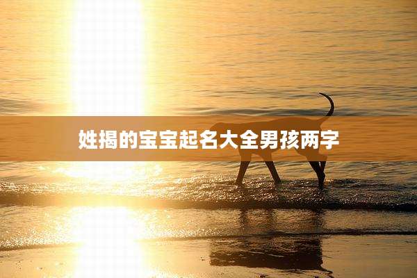 姓揭的宝宝起名大全男孩两字