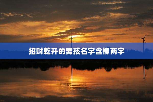 招财乾开的男孩名字含柳两字