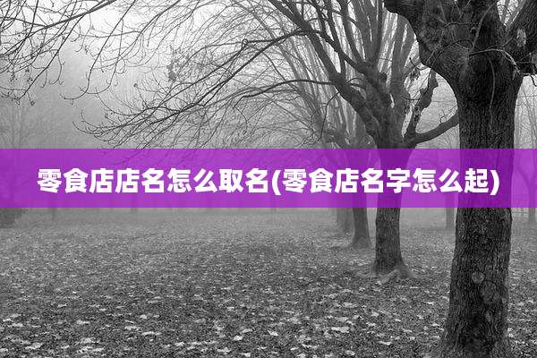 零食店店名怎么取名(零食店名字怎么起)