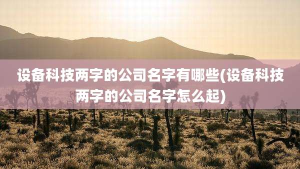 设备科技两字的公司名字有哪些(设备科技两字的公司名字怎么起)