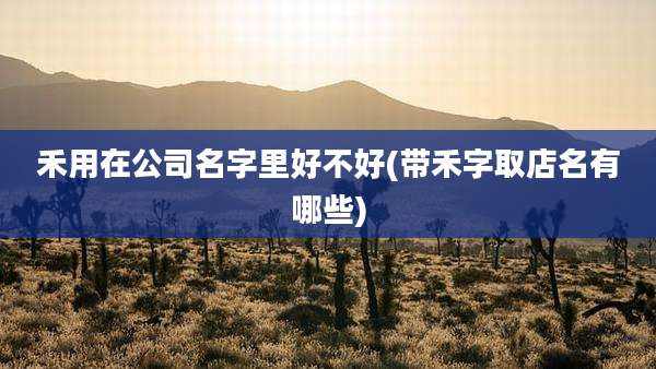 禾用在公司名字里好不好(带禾字取店名有哪些)