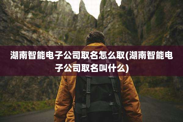 湖南智能电子公司取名怎么取(湖南智能电子公司取名叫什么)
