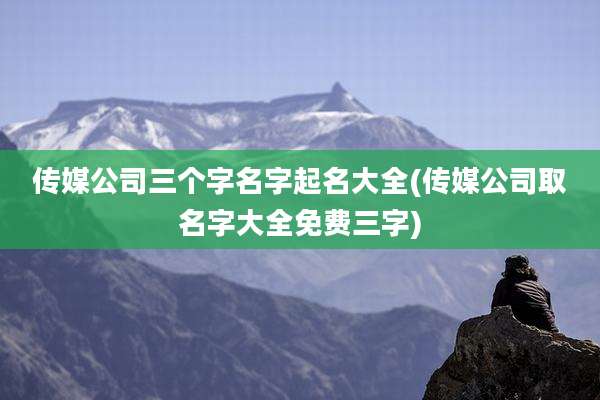 传媒公司三个字名字起名大全(传媒公司取名字大全免费三字)