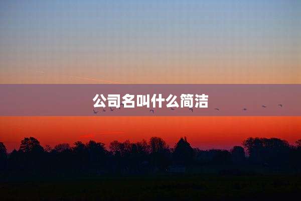 公司名叫什么简洁