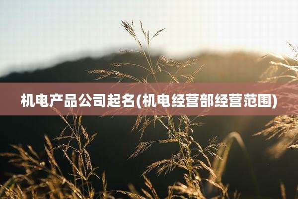 机电产品公司起名(机电经营部经营范围)