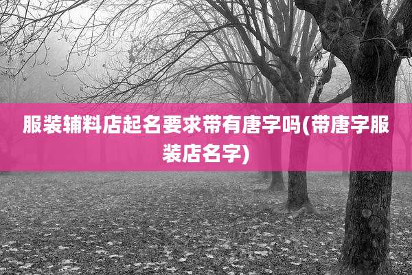 服装辅料店起名要求带有唐字吗(带唐字服装店名字)