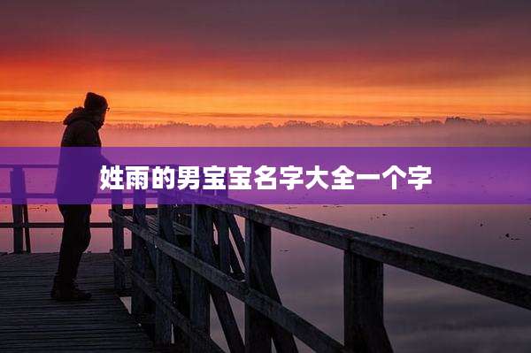 姓雨的男宝宝名字大全一个字
