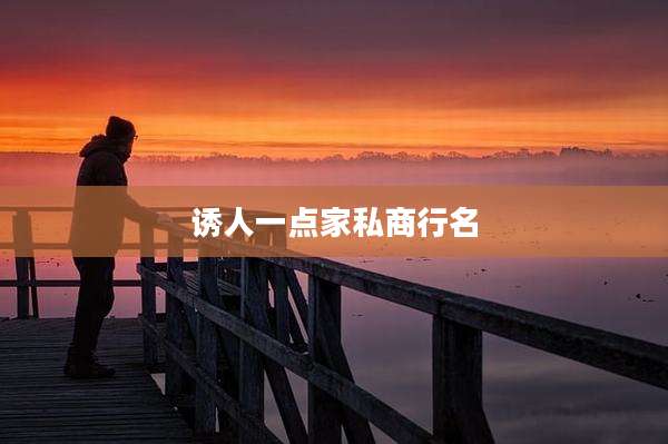 诱人一点家私商行名