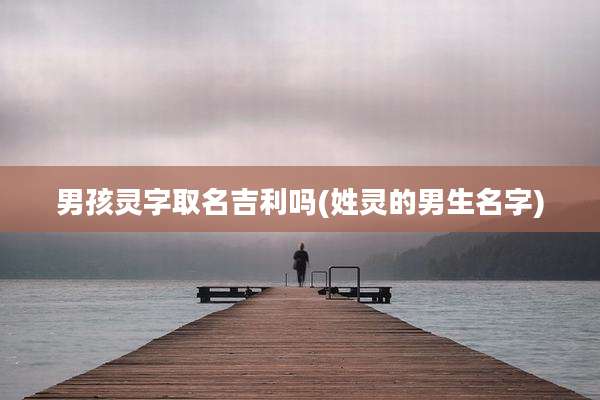 男孩灵字取名吉利吗(姓灵的男生名字)