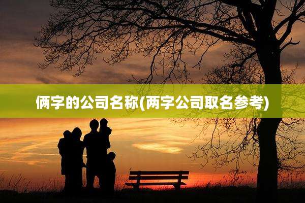 俩字的公司名称(两字公司取名参考)