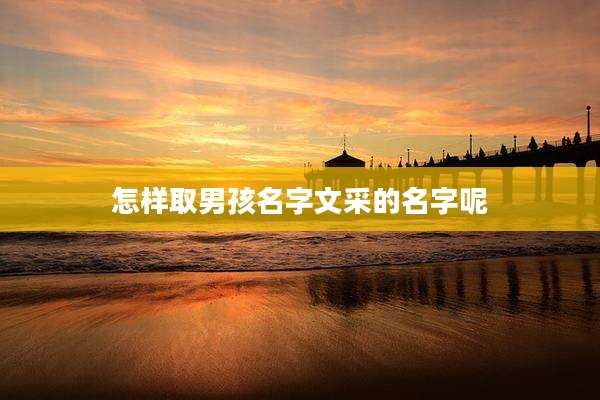 怎样取男孩名字文采的名字呢