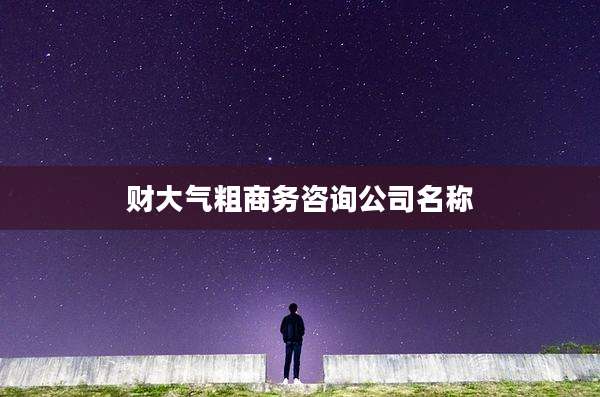 财大气粗商务咨询公司名称