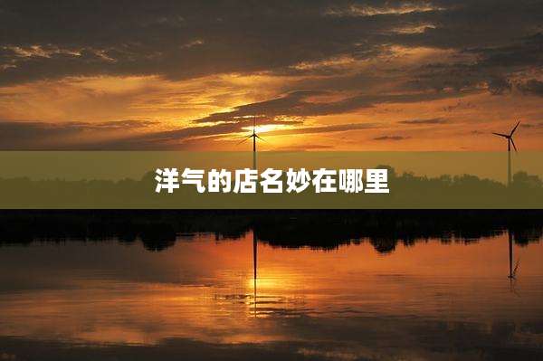 洋气的店名妙在哪里
