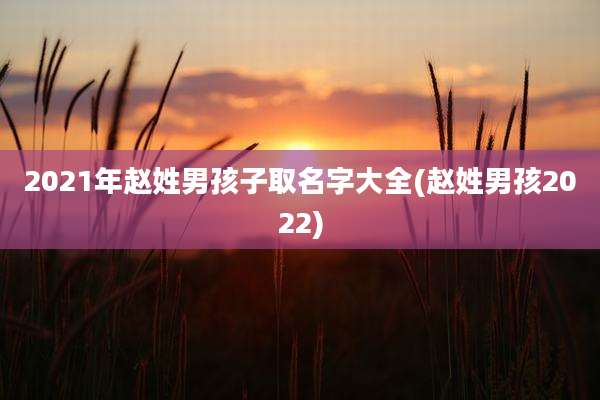 2021年赵姓男孩子取名字大全(赵姓男孩2022)