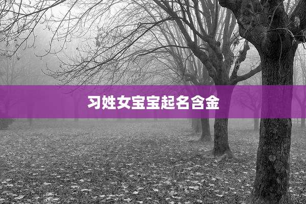 习姓女宝宝起名含金