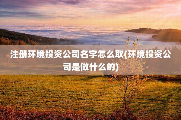 注册环境投资公司名字怎么取(环境投资公司是做什么的)