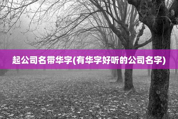 起公司名带华字(有华字好听的公司名字)