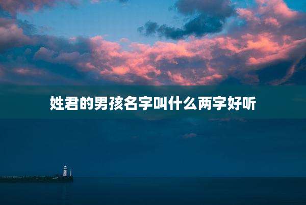 姓君的男孩名字叫什么两字好听
