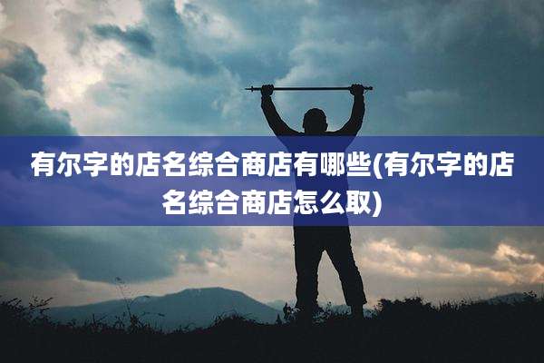 有尔字的店名综合商店有哪些(有尔字的店名综合商店怎么取)