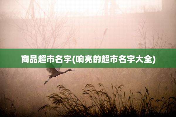 商品超市名字(响亮的超市名字大全)