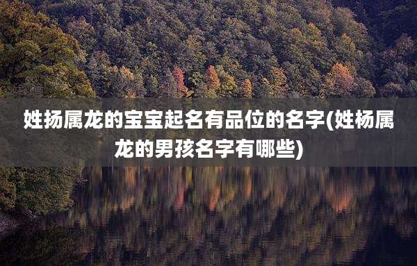 姓扬属龙的宝宝起名有品位的名字(姓杨属龙的男孩名字有哪些)