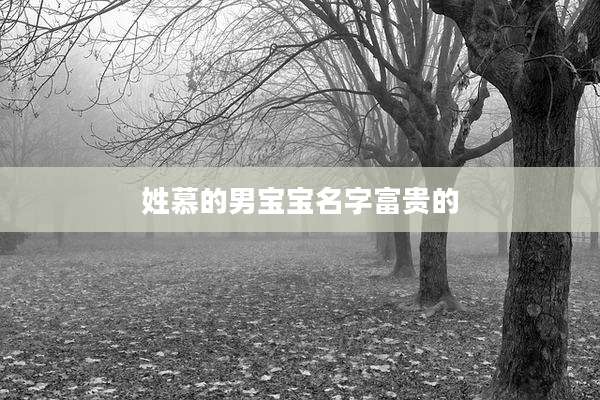 姓慕的男宝宝名字富贵的