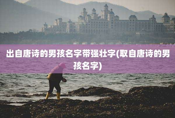 出自唐诗的男孩名字带强壮字(取自唐诗的男孩名字)