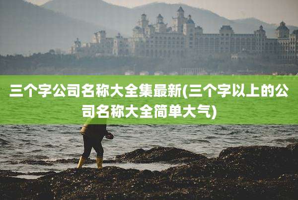 三个字公司名称大全集最新(三个字以上的公司名称大全简单大气)