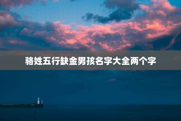 骆姓五行缺金男孩名字大全两个字