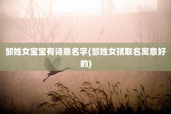 邹姓女宝宝有诗意名字(邹姓女孩取名寓意好的)