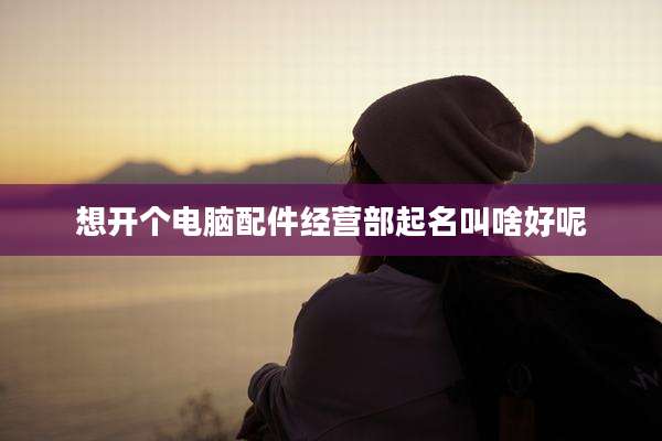想开个电脑配件经营部起名叫啥好呢