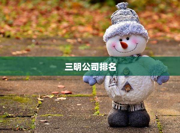 三明公司排名