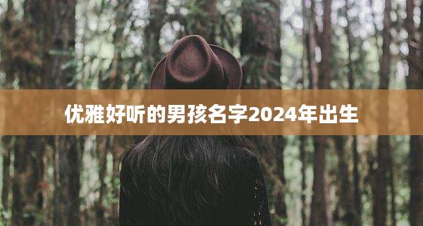 优雅好听的男孩名字2024年出生