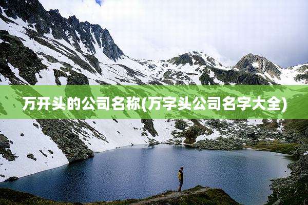 万开头的公司名称(万字头公司名字大全)