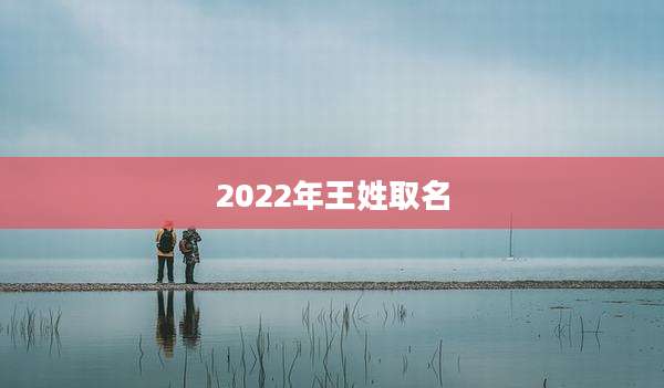 2022年王姓取名