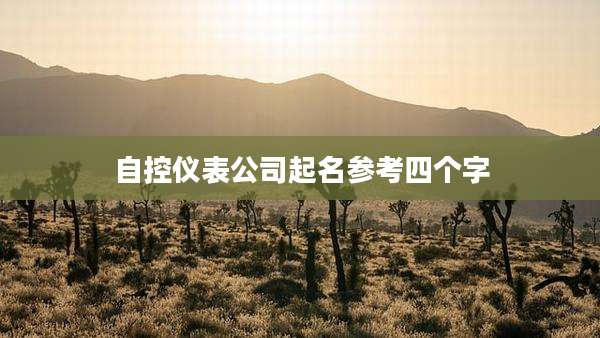 自控仪表公司起名参考四个字