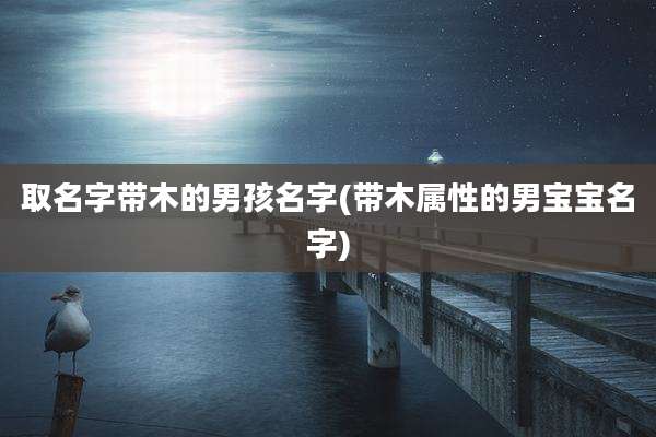 取名字带木的男孩名字(带木属性的男宝宝名字)