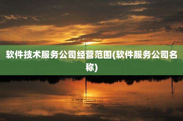 软件技术服务公司经营范围(软件服务公司名称)