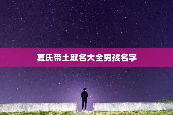 夏氏带土取名大全男孩名字