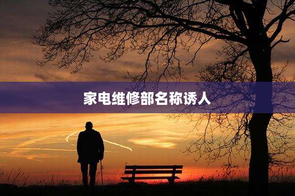 家电维修部名称诱人