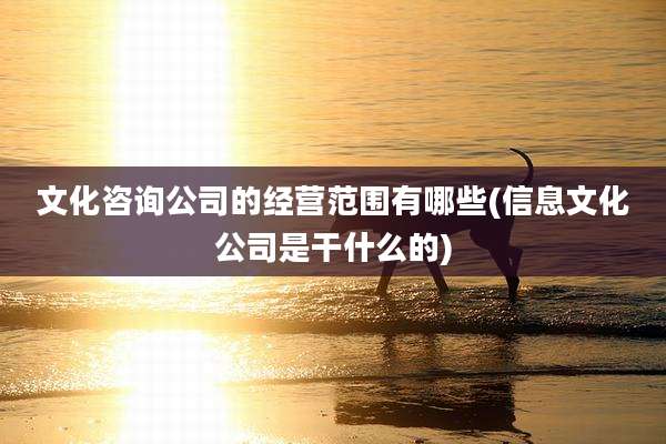 文化咨询公司的经营范围有哪些(信息文化公司是干什么的)