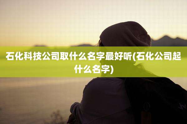 石化科技公司取什么名字最好听(石化公司起什么名字)