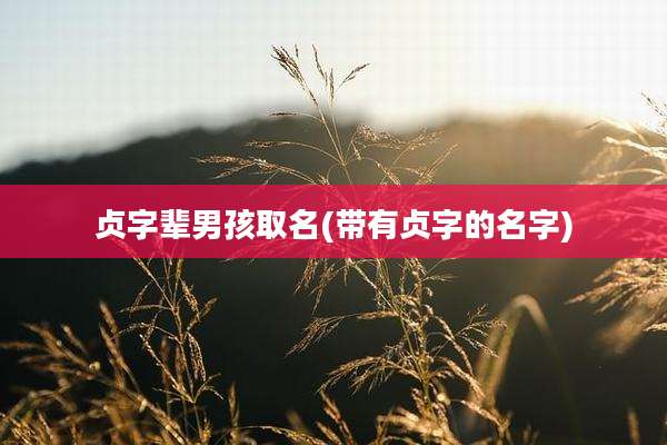 贞字辈男孩取名(带有贞字的名字)