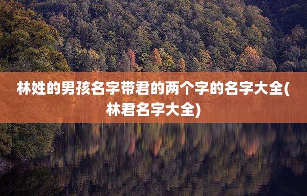 林姓的男孩名字带君的两个字的名字大全(林君名字大全)