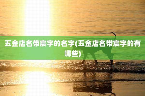 五金店名带宸字的名字(五金店名带宸字的有哪些)