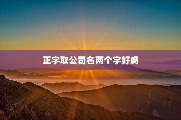 正字取公司名两个字好吗