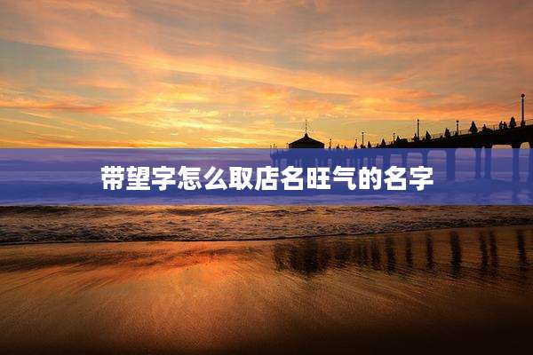 带望字怎么取店名旺气的名字