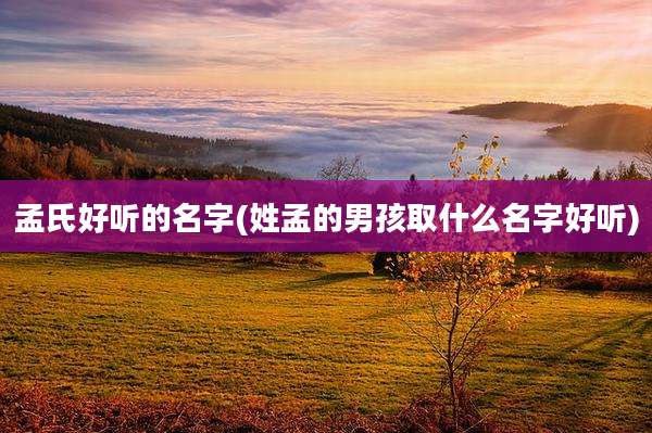 孟氏好听的名字(姓孟的男孩取什么名字好听)