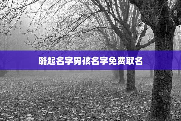 璐起名字男孩名字免费取名