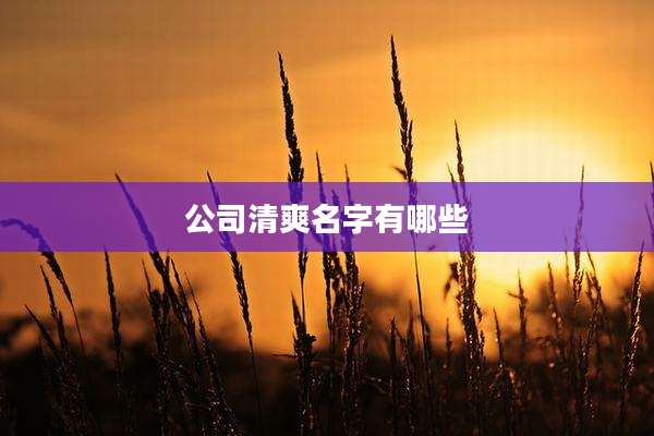 公司清爽名字有哪些